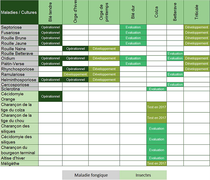 Gestion des risques phytosanitaires  Phytoprotech  WANAKA